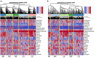 Identification of Clinical Phenotypes in Septic Patients Presenting With Hypotension or Elevated Lactate